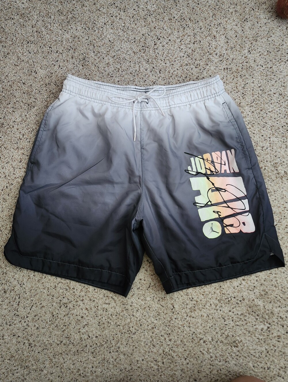 Air Jordan Swim Shorts